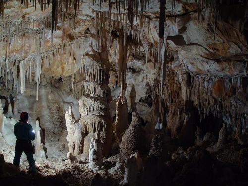 Grotta-di-Cellaforza-Foto-Giovanni-Ragone.DSC01396